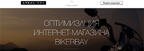 Оптимизация интернет-магазина BikerBay