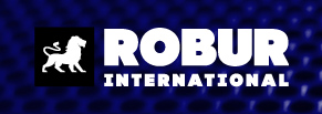 Брендинг в digital: Разработка комплекса визуальной идентификации ГК Robur International