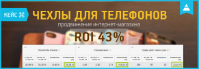 Кейс по продвижению интернет-магазина чехлов и виниловых наклеек для телефонов: ROI 43%