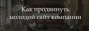 Продвижение и развитие молодого сайта компании по экспертизе всех видов имущества. Инфографика.