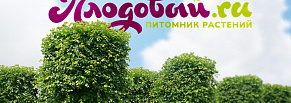 Питомник «Плодовый» сократил путь клиента от 5 шагов до 3