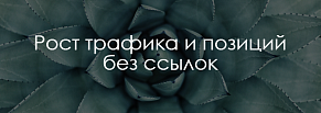 Кейс: как за полгода работы без ссылок увеличить трафик в 2,5 раза