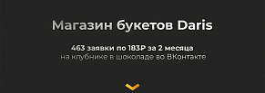 Кейс: клубника в шоколаде. 463 заявки по 183₽ за 2 месяца во ВКонтакте