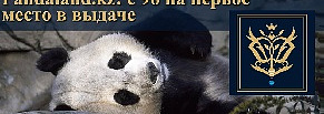 Поисковая Оптимизация сайта Pandaland.kz