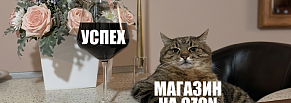Как убыточный магазин на Ozon за 1,5 месяца вышел на прибыль 7 000 000р. Метод из четырех шагов