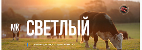 Светлый путь: как мы сделали визитку мясокомбината, которую хочется съесть глазами