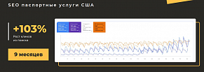 SEO для паспортных услуг в США: +103% органического трафика за 9 месяцев