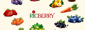 Создание сайта для RicBerry