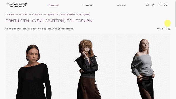 Глубокая кастомизация дизайна фильтра товаров для интернет-магазина «Сколько? Можно» — кейс digital-агентства «Винтра» на «Рейтинг Рунета»