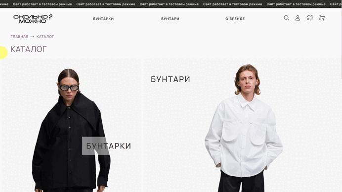 Глубокая кастомизация дизайна каталога товаров для интернет-магазина «Сколько? Можно» — кейс digital-агентства «Винтра» на «Рейтинг Рунета»