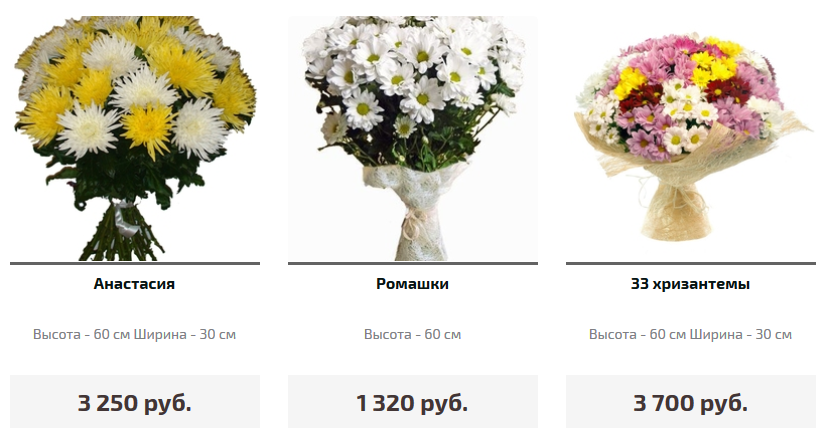 Ромашки и хризантемы разница фото