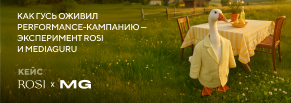 Как гусь оживил performance-кампанию — эксперимент ROSI и MediaGuru