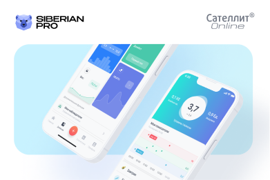 Сателлит Online — дневник самоконтроля для диабетиков. 4000 синхронизаций с глюкометром ежедневно