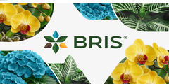 Брендинг производственной компании BRIS: как объединить промышленность и розницу
