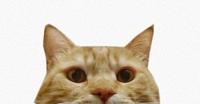 Коты, телеграм, смелые гипотезы: как мы «взломали» email-маркетинг. Кейс Anex Tour