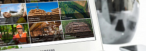 Timber Trade – сервис учета для лесозаготовительных компаний или как мы нашли пропавшие «кубы»