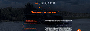 AVT Performance