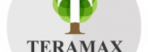 Разработка сайта Teramax