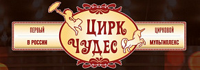 Зрительский Клуб Цирка Чудес